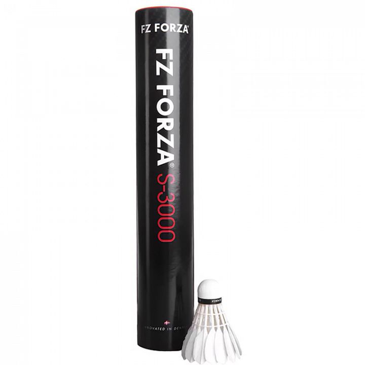 FZ Forza S-3000